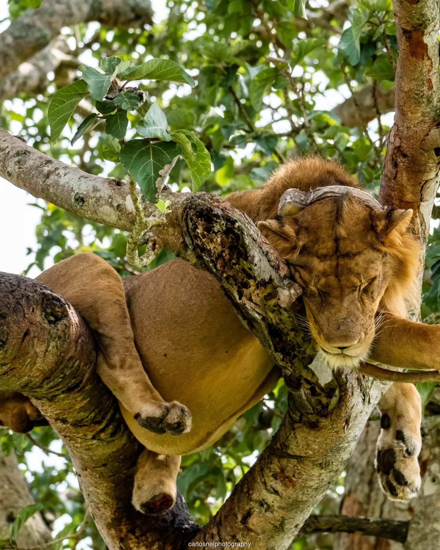 img 20221001 200755 196