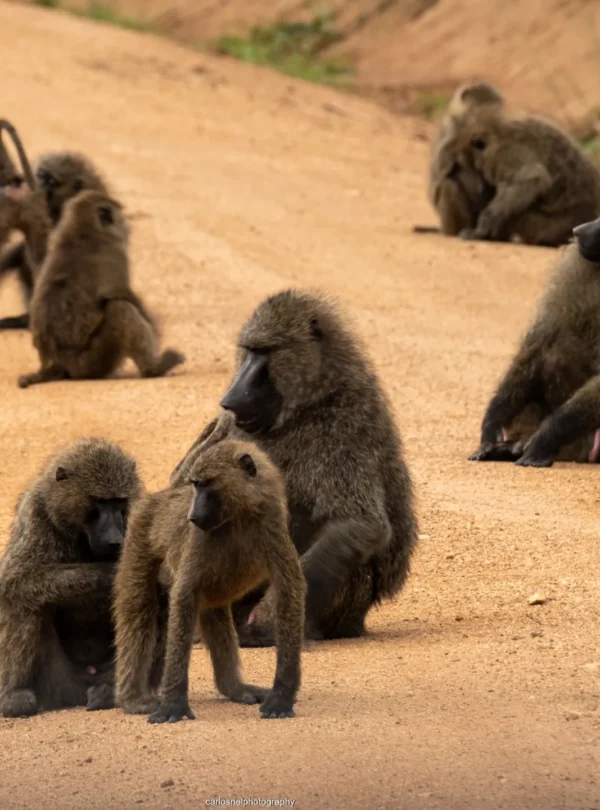 img 20221004 125229 215