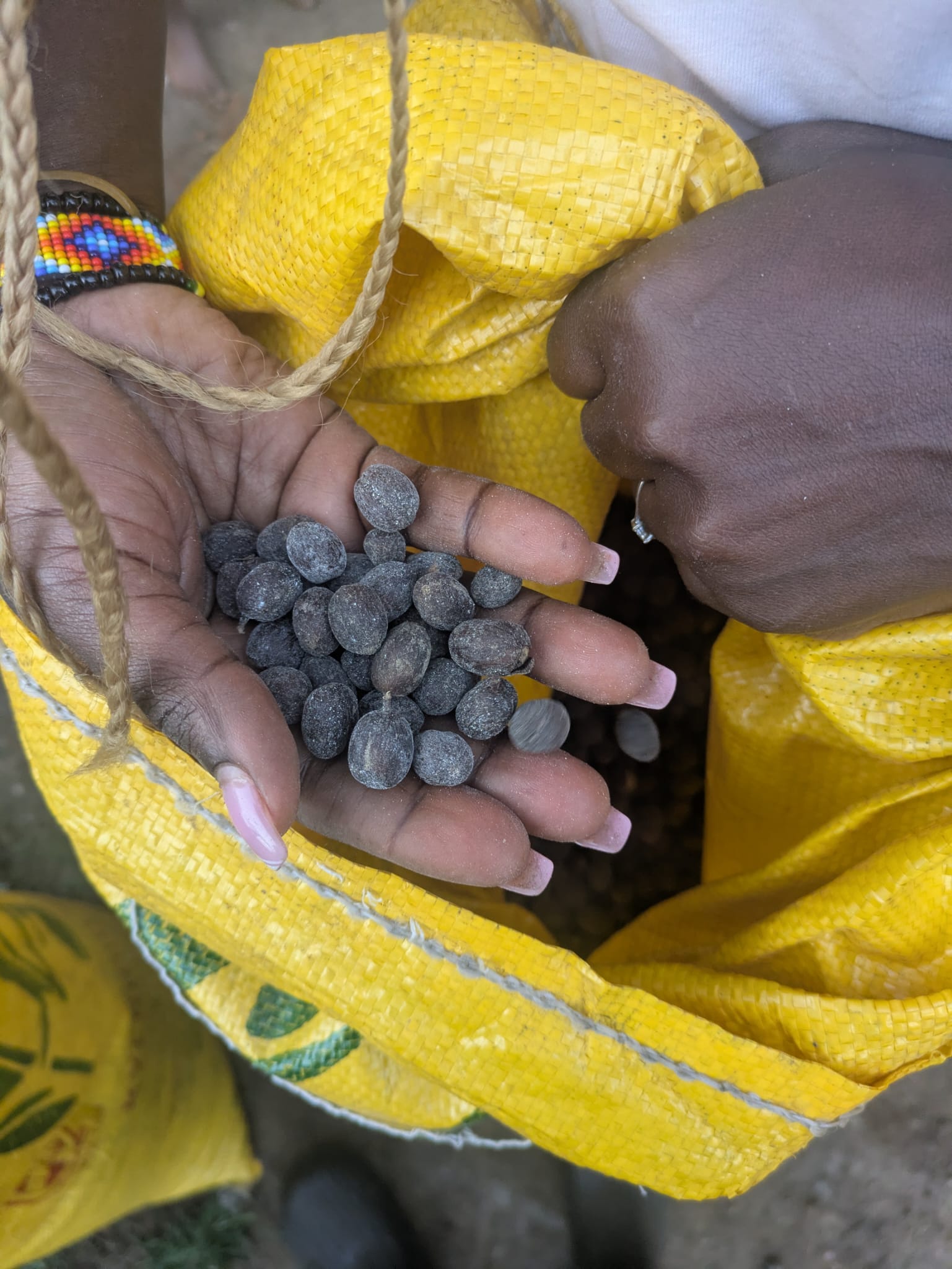 whatsapp image 2026 03 21 at 12.25.08