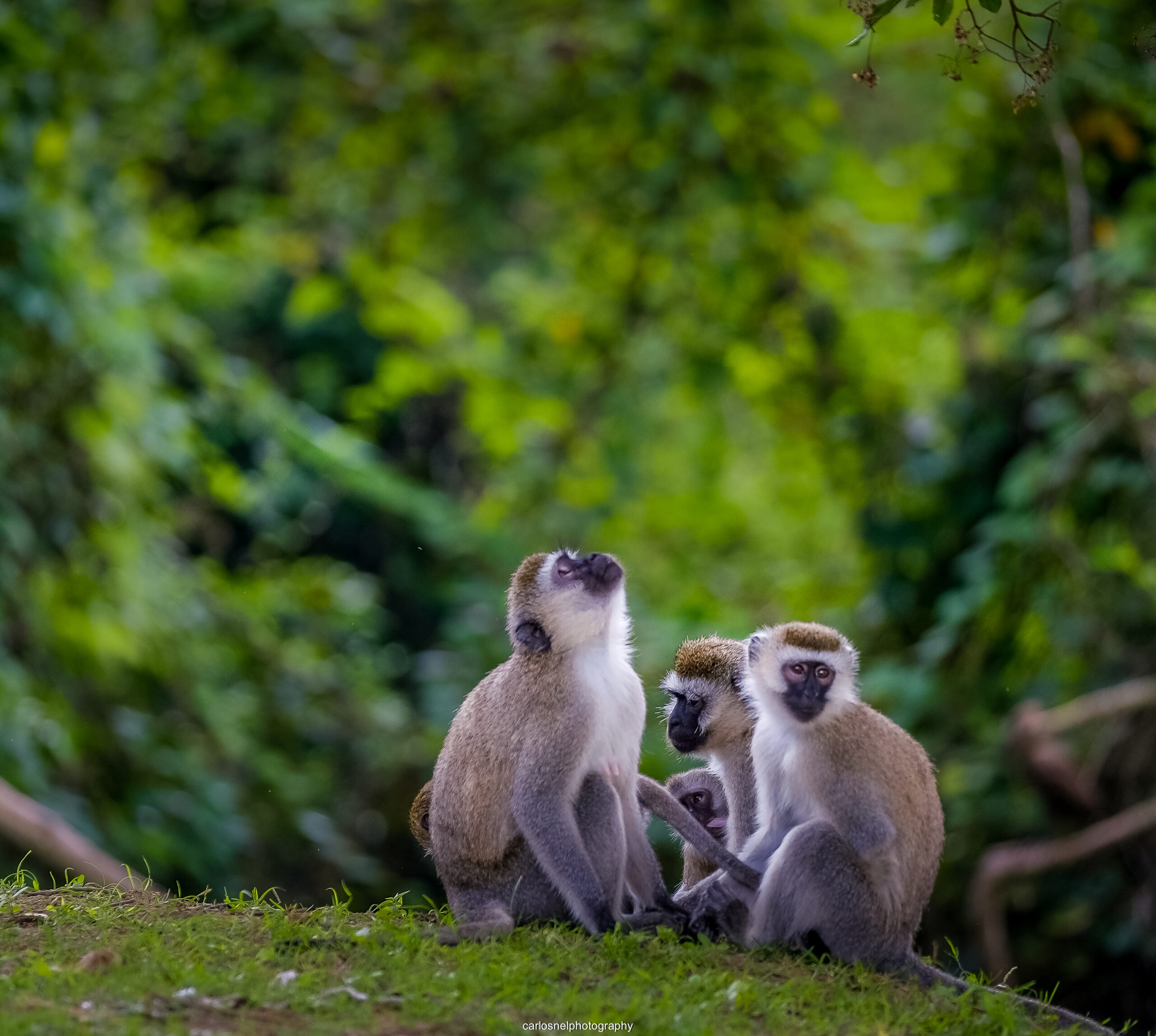 salomon travels uganda 5923