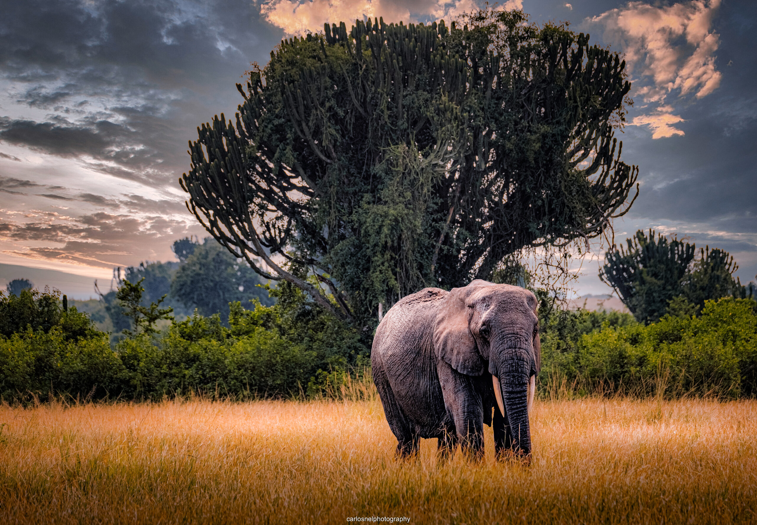 salomon travels uganda 7